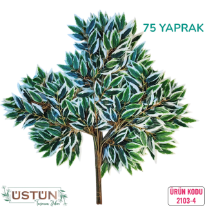 Ürün Küçük Görseli