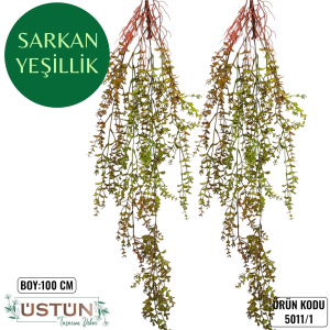 Ürün Küçük Görseli