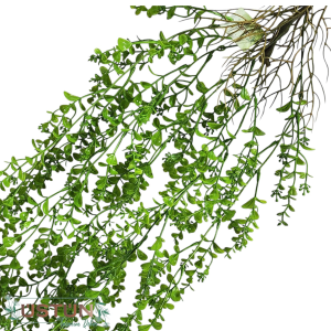Ürün Küçük Görseli