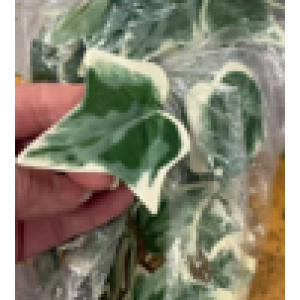Ürün Küçük Görseli