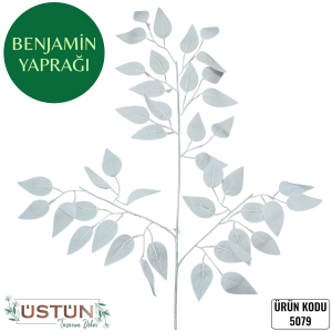 Ürün Küçük Görseli