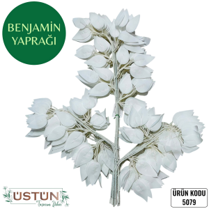 Ürün Küçük Görseli