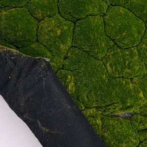 Ürün Küçük Görseli