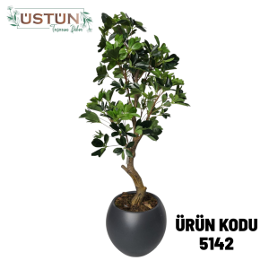Ürün Küçük Görseli