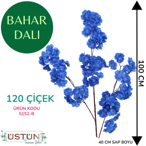 Ürün Küçük Görseli