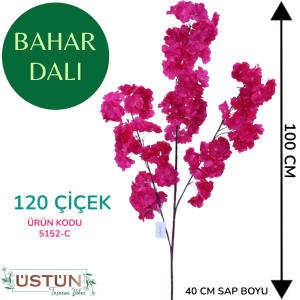 Ürün Küçük Görseli