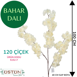 Ürün Küçük Görseli