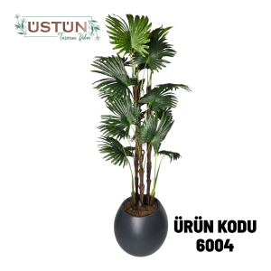 Ürün Küçük Görseli