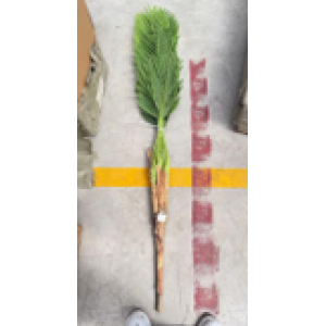 Ürün Küçük Görseli