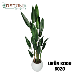 Ürün Küçük Görseli