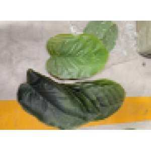 Ürün Küçük Görseli