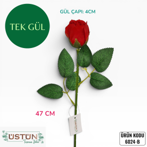 Ürün Küçük Görseli