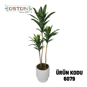 Ürün Küçük Görseli