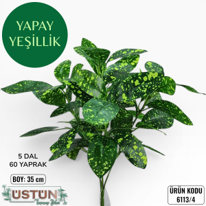 Ürün Küçük Görseli