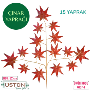 Ürün Küçük Görseli