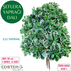 Ürün Küçük Görseli