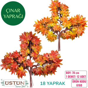 Ürün Küçük Görseli