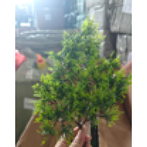 Ürün Küçük Görseli