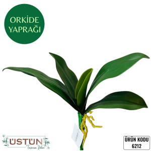 Ürün Küçük Görseli
