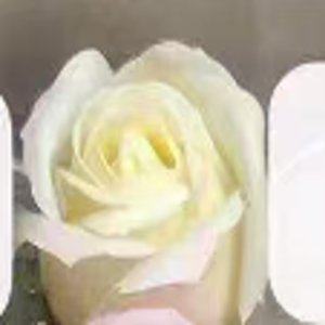 Ürün Küçük Görseli