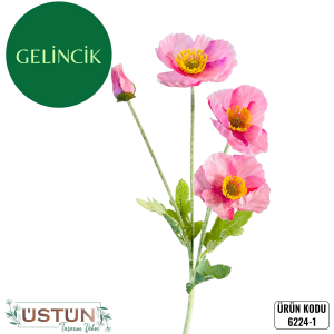 Ürün Küçük Görseli