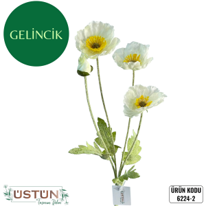 Ürün Küçük Görseli