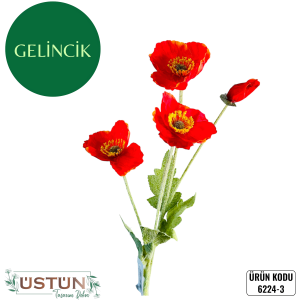 Ürün Küçük Görseli