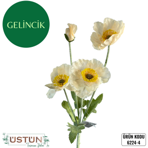 Ürün Küçük Görseli