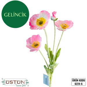 Ürün Küçük Görseli