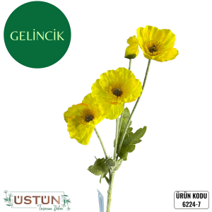 Ürün Küçük Görseli
