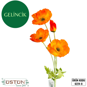 Ürün Küçük Görseli