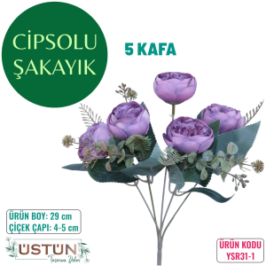 Ürün Küçük Görseli