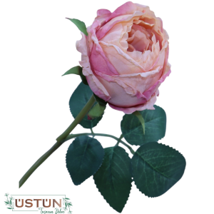 Ürün Küçük Görseli