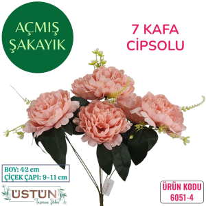 Ürün Küçük Görseli