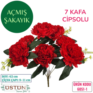 Ürün Küçük Görseli