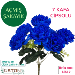 Ürün Küçük Görseli