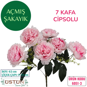 Ürün Küçük Görseli