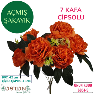 Ürün Küçük Görseli