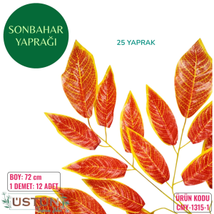 Ürün Küçük Görseli