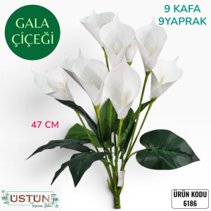 Ürün Küçük Görseli