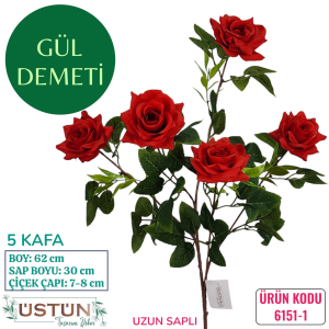 Ürün Küçük Görseli