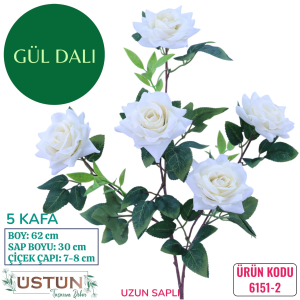 Ürün Küçük Görseli