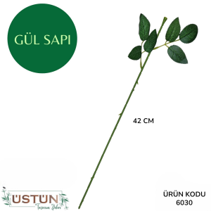 Ürün Küçük Görseli