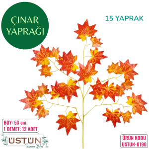 Ürün Küçük Görseli