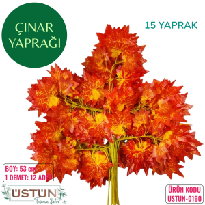 Ürün Küçük Görseli