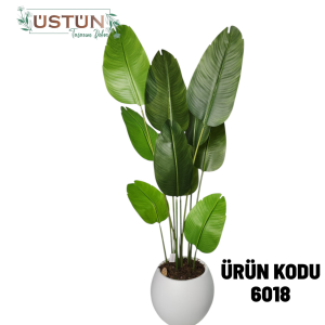 Ürün Küçük Görseli