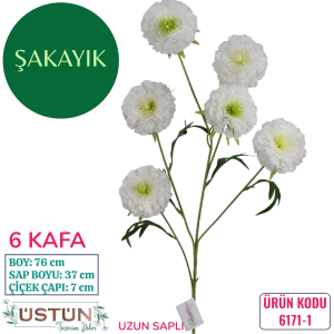 Ürün Küçük Görseli
