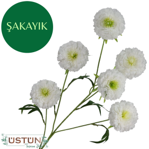 Ürün Küçük Görseli