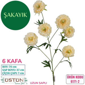 Ürün Küçük Görseli