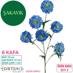 Ürün Küçük Görseli